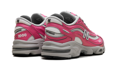 1000 "Dragon Berry" M1000MSG