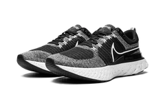 React Infinity Run Flyknit 2 CT2357 101