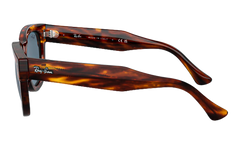 Mega Hawkeye Sunglasses "Striped Havana" RB0298S-954-62_53