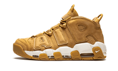 Air More Uptempo '96 PRM AA4060 200