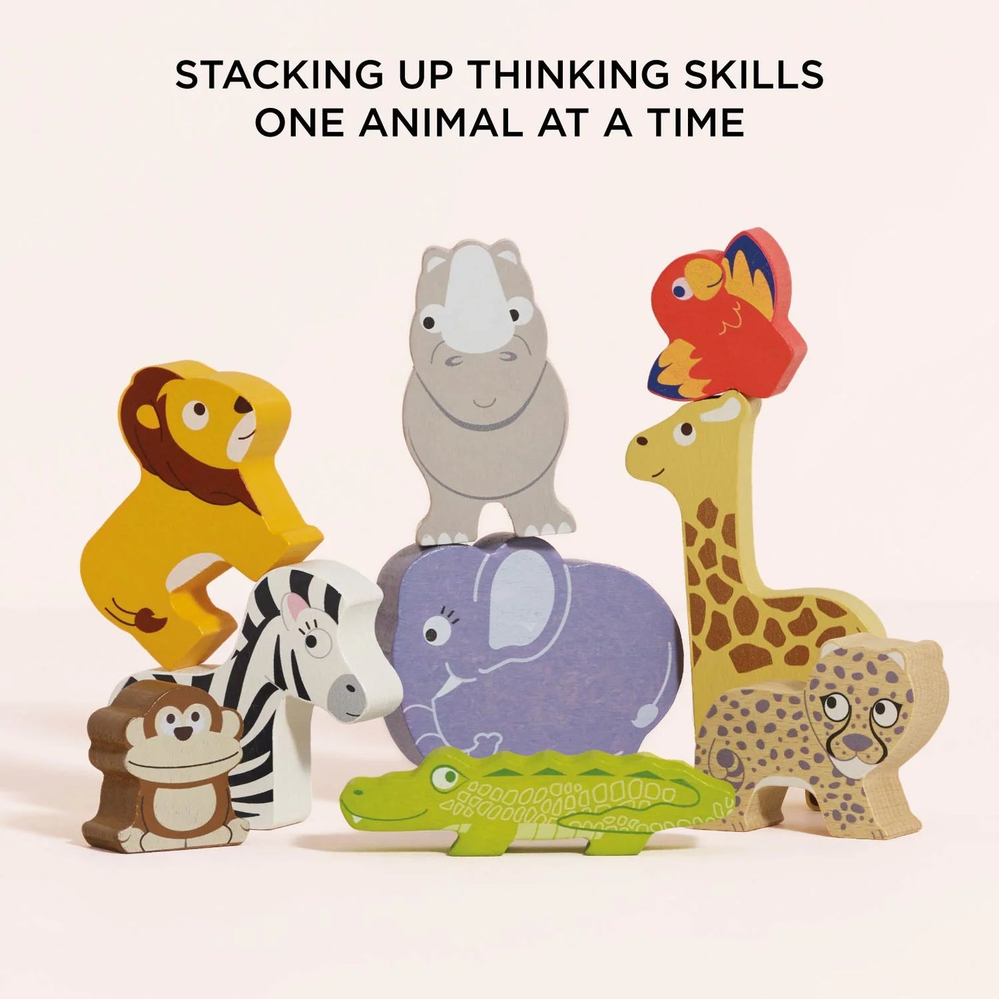 Africa Stacking Animals & Bag