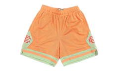 EE Basic Shorts "Salmon / Silt Green" EE248