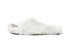 Bear Claw Mule "White" BS54