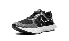 React Infinity Run Flyknit 2 CT2357 101