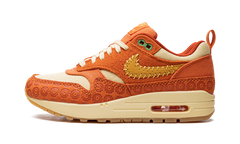 AIR MAX 1 PRM MNS WMNS "Somos Familia" DZ5352 847